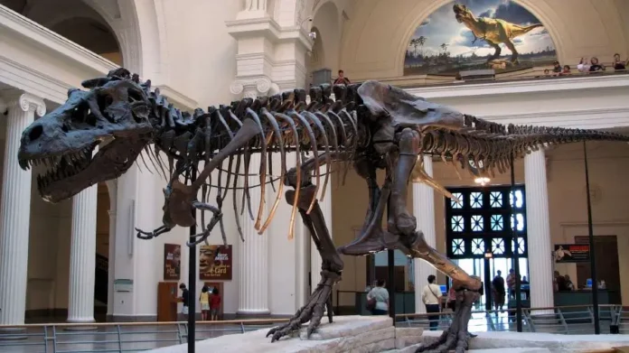 museum zoologi bogor